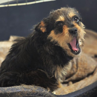 /album/mei-20252/499869242-1058620096366056-5013547582797011524-n-jpg/