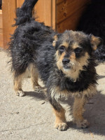 /album/mei-20252/499862381-1058620069699392-652045991341142667-n-jpg/