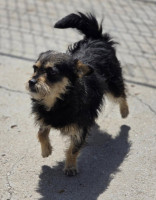 /album/mei-20252/499933807-1058620016366064-1592467156416113203-n-jpg/