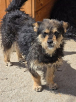 /album/mei-20252/499866938-1058619883032744-1175756379183480764-n-jpg/