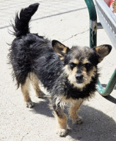 /album/mei-20252/499922385-1058619829699416-4029800730009946813-n-jpg/