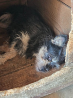 /album/23-08-2025/20250827-120911-jpg/