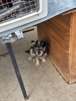 /album/23-08-2025/20250823-111534-jpg/