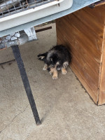 /album/23-08-2025/20250823-111531-jpg/