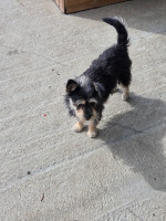 /album/23-08-2025/20250823-104759-jpg/