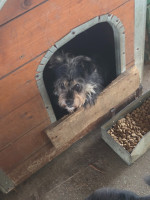 /album/18-11-2025/20251118-114820-jpg/