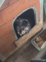 /album/18-11-2025/20251118-114821-jpg/