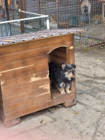 /album/18-11-2025/20251117-122124-jpg/