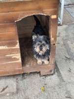 /album/18-11-2025/20251117-122105-jpg/