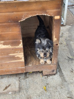 /album/18-11-2025/20251117-122100-jpg/