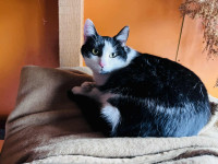 /album/18-11-20251/87593445-be37-46de-b907-94eca476badd-jpeg/