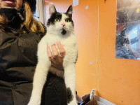 /album/18-11-20251/62d4eaee-5c94-49fa-ae3d-e678dbbd83c8-jpeg/