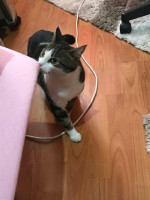 /album/18-11-20252/img-20251104-wa0007-jpg/