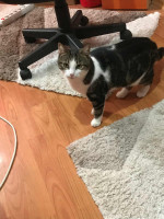 /album/18-11-20252/img-20251104-wa0001-jpg/