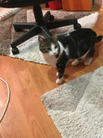 /album/18-11-20252/img-20251104-wa0002-jpg/