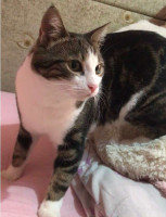 /album/18-11-20252/img-20251104-wa0003-jpg/