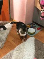 /album/18-11-20252/img-20251104-wa0004-jpg/