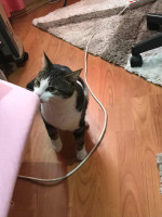 /album/18-11-20252/img-20251104-wa0006-jpg/