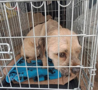 /album/104/516401577-1091053613122704-7327459420811873100-n-jpg/