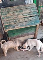 /album/104/516449782-1091053893122676-2246111639042057203-n-jpg/