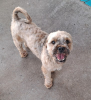 /album/104/516535649-1091053673122698-1701639182869853643-n-jpg/