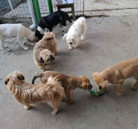 /album/104/556110514-1154802783414453-7264737851916726498-n-jpg/