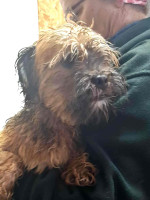 /album/104/554102042-1154802800081118-7566682484402055421-n-jpg/