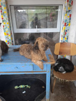 /album/104/555470725-1154802806747784-3489568145352742375-n-jpg/