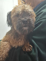 /album/104/554079784-1154802786747786-2759476944266944724-n-jpg/