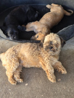 /album/24-08-20254/20250828-122358-jpg/