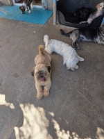 /album/24-08-20254/20250827-134952-jpg/