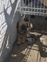 /album/24-08-20254/20250826-101809-jpg/