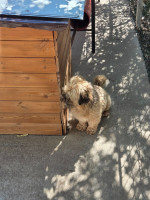 /album/24-08-20254/20250824-134854-jpg/