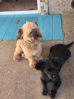 /album/24-08-20254/20250824-133929-jpg1/