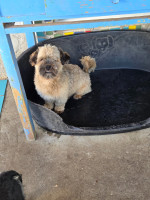 /album/24-08-20254/20250824-100634-jpg/