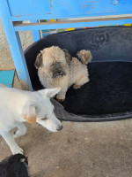 /album/24-08-20254/20250824-100630-jpg/