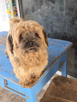 /album/17-11-2025/20251117-115044-jpg/