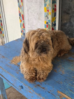 /album/17-11-2025/20251117-115040-jpg/