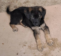 /album/122/583029491-1199913518903379-168337641174746447-n-jpg/