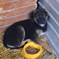 /album/122/584747568-1199913442236720-8933374205246893464-n-jpg/