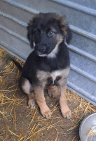 /album/122/584945364-1199913492236715-5566574788321070418-n-jpg/