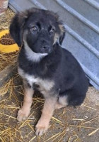 /album/122/585044424-1199913365570061-4518396844678237662-n-jpg/