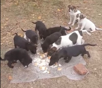 /album/122/583322732-1199905905570807-2474130357291255424-n-jpg/