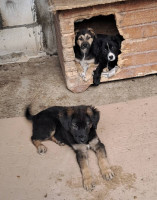 /album/122/584402231-1199905882237476-5690112480863354409-n-jpg/