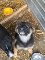 /album/19-11-2025/20251119-120957-jpg/