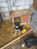 /album/19-11-2025/20251119-120947-jpg/