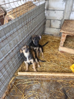 /album/19-11-2025/20251119-120929-jpg/