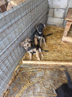 /album/19-11-2025/20251119-120927-jpg/