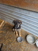 /album/19-11-2025/20251119-120859-jpg/