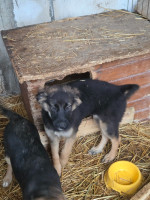 /album/19-11-2025/20251119-120814-jpg/